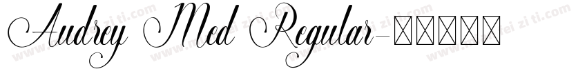 Audrey Med Regular字体转换